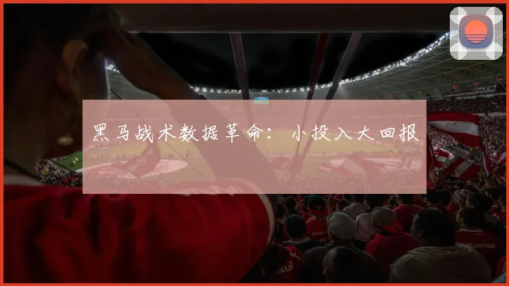 黑马战术数据革命：小投入大回报