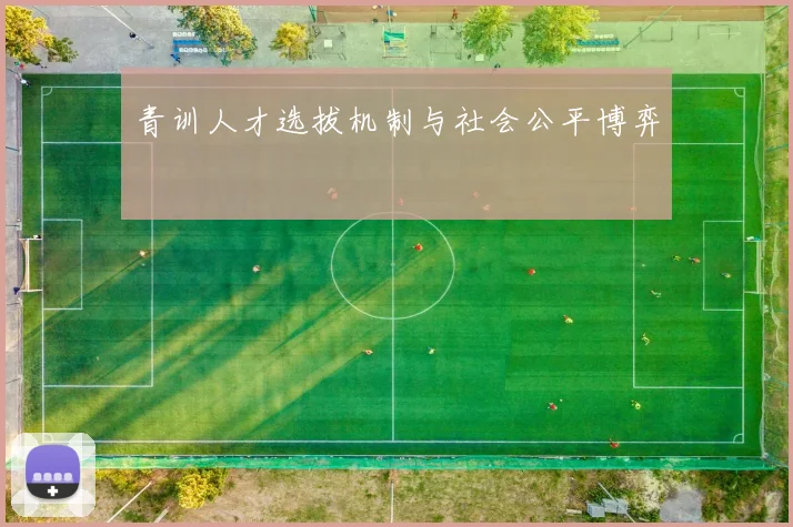 青训人才选拔机制与社会公平博弈